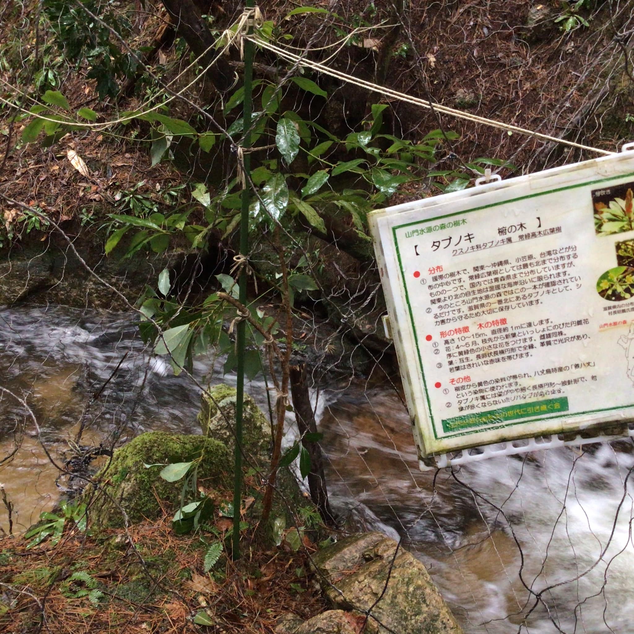 山門(やまかど)水源の森 - 浅見のぶよし 公式サイト | 浅見宣義
